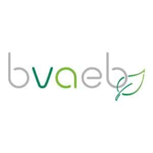 BVAEB Logo