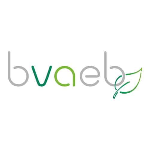 BVAEB Logo